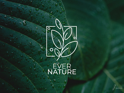 EVER NATURE-Logo Design(Unused) 2d logo app logo brand identity branding creative logo design gradient logo icon illustration logo logo mark minimal logo modern logo nature nature logo vector