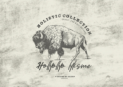 font ethiopia summer - logo holistick abstra abstract branding color cow design dribble font foundry graphic design illustration logo milk smokebeef steak vector