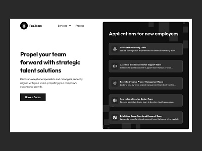Pro.Team - Website design hire hiring team hr landing page startup tech ui ux web web design