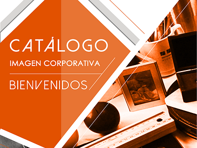 CATÁLOGO DE PRODUCTOS branding design graphic design illustration ilustraciondigital vector