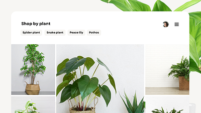 Shop by plant concept 3d animation app branding design graphic design illustration logo ui ux
