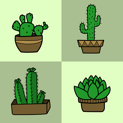 Cacti illustrations branding cacti cactus design illustration illustrator plants