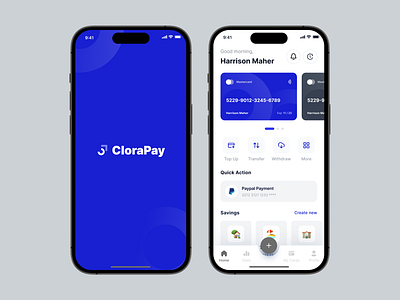 CloraPay app design finance financial management minimal money ui ui design ux web