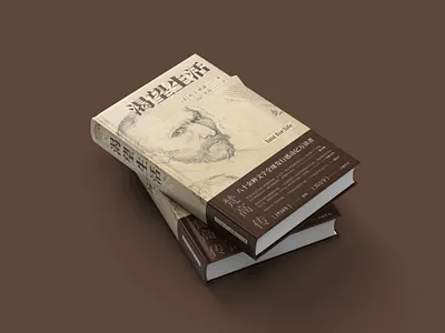 cover design book chinese cover design design graphic design layout practice typeface van gogh vincent