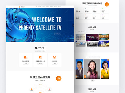 Phoenix Satellite TV Web UI design typography ui web design