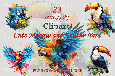 Macaw and Toucan Bird graphic design