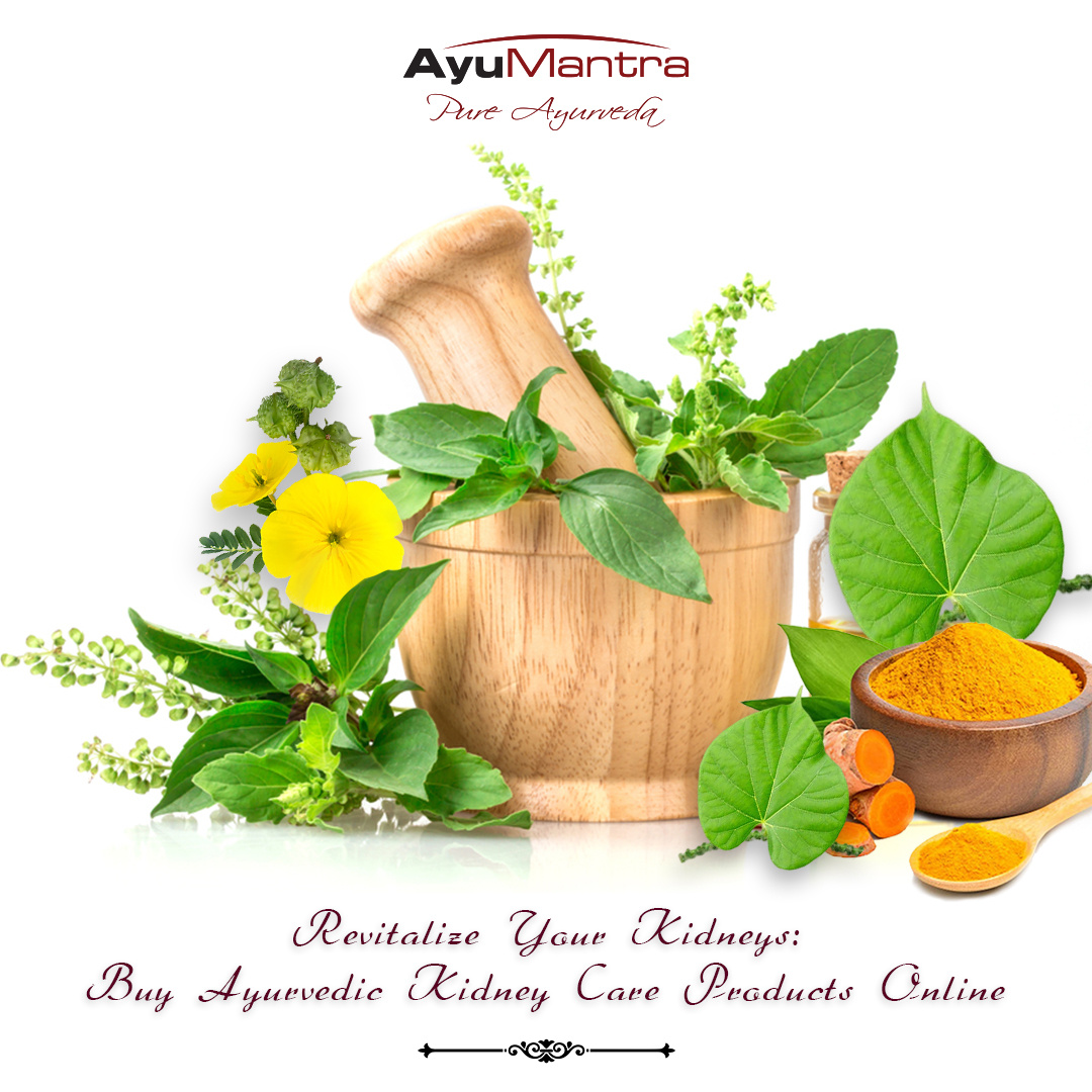 Revitalize Your Kidneys Buy Ayurvedic Kidney Care Products by