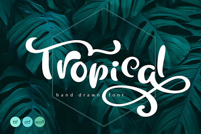 Tropical Summer Font app branding design graphic design illustration logo typography ui ux vector