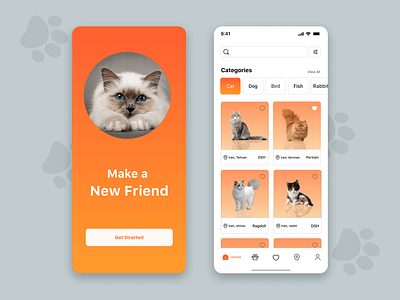 Pet Adoption App dailyui design pet pet application ui design