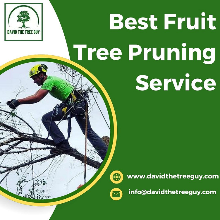 Best Fruit Tree Pruning Service by David The Tree Guy on Dribbble