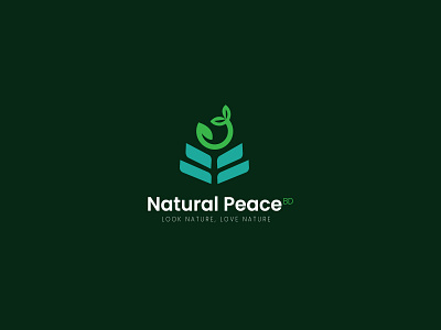 Natural Peach Bd Brand Identity Logo Creation. app icon brand identity branding company logo graphic design logo logo crea logo creation logo maker logo mark logotype minimal minimalist logo