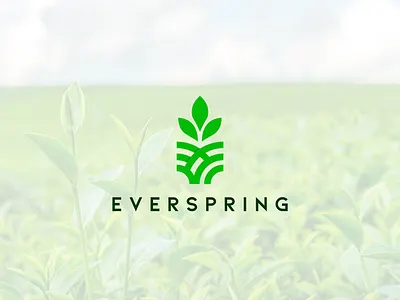 Everspring Logo Design animation brand and identity branding design grahic design graphic design graphics illustration logo logodesign ui