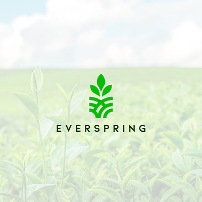 Everspring Logo Design animation brand and identity branding design grahic design graphic design graphics illustration logo logodesign ui