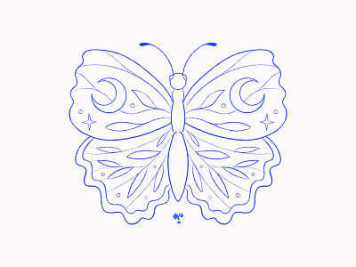 Butterfly animal blue butterfly digital art draft illustration insect nature nature art procreate sketch sketching