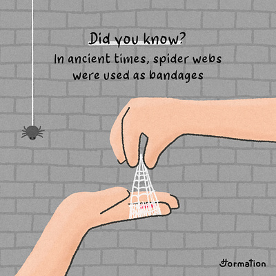 In ancient times, spider webs were used as bandages bandages cartoon did you know digital art digital illustration drawing fact fun fact history illustration spider spider web
