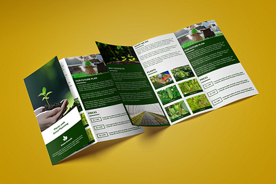 Brochure design mockup agriculture branding design graphic design illustration photoshop ui