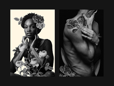 Portrait Studies botanical collage form human illustration photography portrait realism