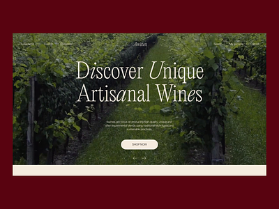 Winery Website Home Page animation branding design ecommerce graphic design home page interaction design interface landing page marketing ui user experience ux web web design web marketing website wine winemakers winery