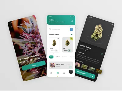 Cannabis App 360 degress view app application brand branding chanvre cannabis gorilla glue graphic design hello login sign up illustrator ai leaf leave mobile smartphone ios android photoshop psd popular plants print designer search srains terpilonene thc cbd cbg typo typography ui ux designer