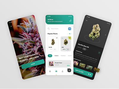 Cannabis App n°3 360 degress view app application brand branding chanvre cannabis gorilla glue graphic design hello login sign up illustrator ai leaf leave mobile smartphone ios android photoshop psd popular plants print designer search srains terpilonene thc cbd cbg typo typography ui ux designer