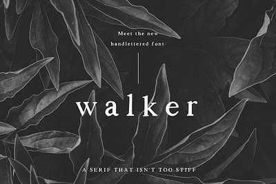 Walker: a Handlettered Serif lettered font