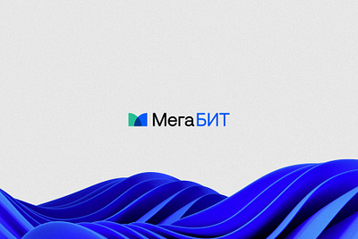 Brand Guidelines - МегаБит (MegaBit) branding design graphic design logo typography
