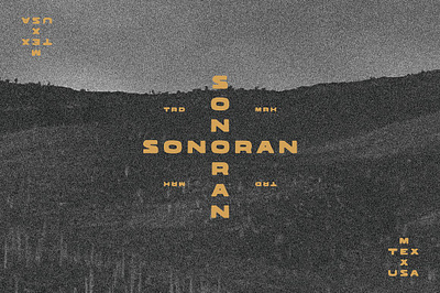 Sonoran Typeface wanted poster