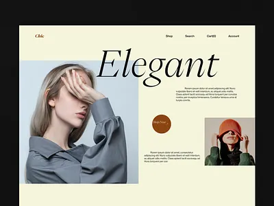 Chic. Fashion & Beauty Website design ui ux web design