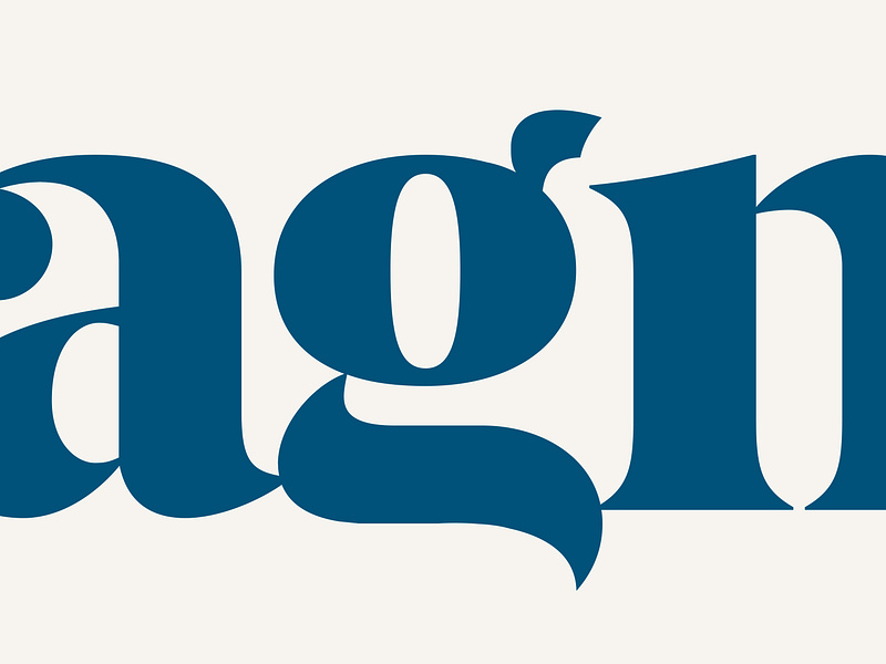 Magna — typographic detail chunky type custom type detail g letter letterform lettering logo logotype serif swash typography
