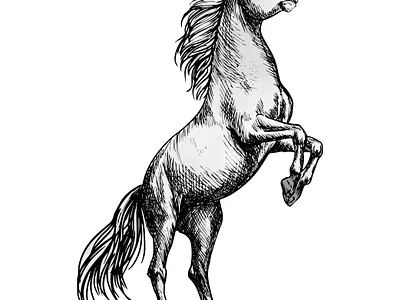 REARING HORSE branding company logo design graphic design hand drawn art horse illustration logo logos for t shirts rearing horse t shirt typography ui ux vector