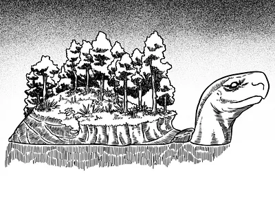 Tortuga animal art beast big blackandwhite bnw creature digital giant illustration lineart monochrome turtle water