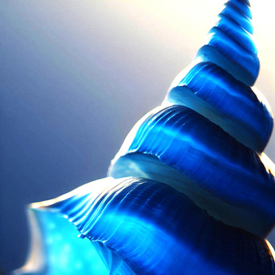 Blue Seashell surreal