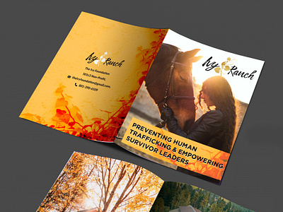 Booklet/ Brochure advertisement banner booklet branding brochure design flyer graphic design print ui