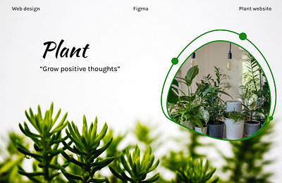 Plant UI WEBSITE plant ui ui website