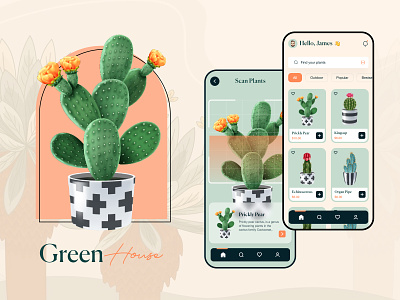 Green House - Plants Mobile UI cactus ecommerce green greenery illustration indoor plants my cart pastel colors plants plants mobile ui shop succulents ui uiux