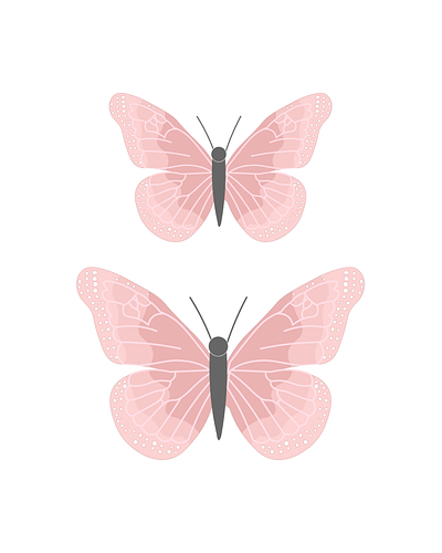 Butterfly Illustration art design graphic design illustraion illustrator