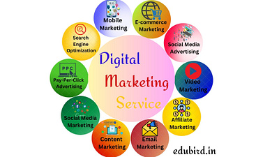 Digital marketing service 3d animation branding design graphic design illustration logo motion graphics vector