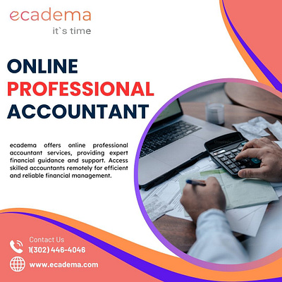 Online Professional Accountant online professional accountant