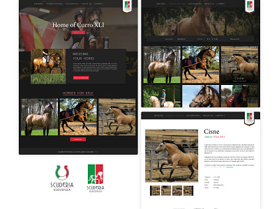 Horse E-Commerce Website animal branding catalog design e commerce horse interface logo transaction ui ux website