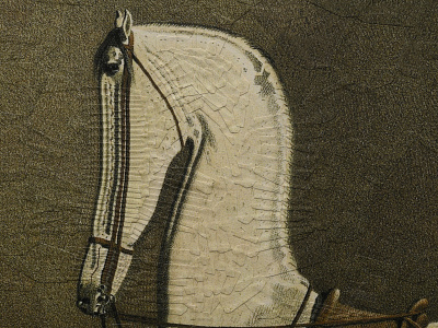 Twigs after Volkers, detail 2 collage equine head horse horse portrait horses illustration