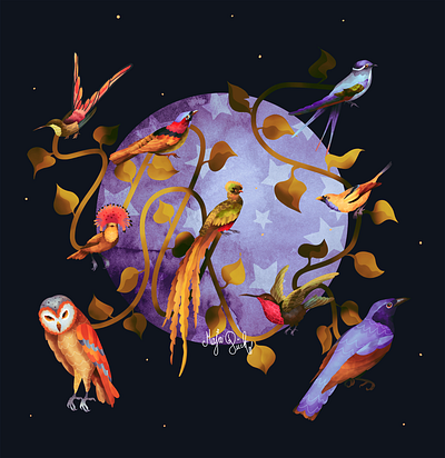the planet of birds animal bird birds by maja pučko design graphic design illustration