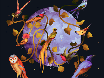 the planet of birds animal bird birds by maja pučko design graphic design illustration