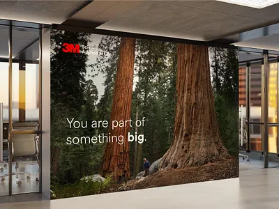 3M design