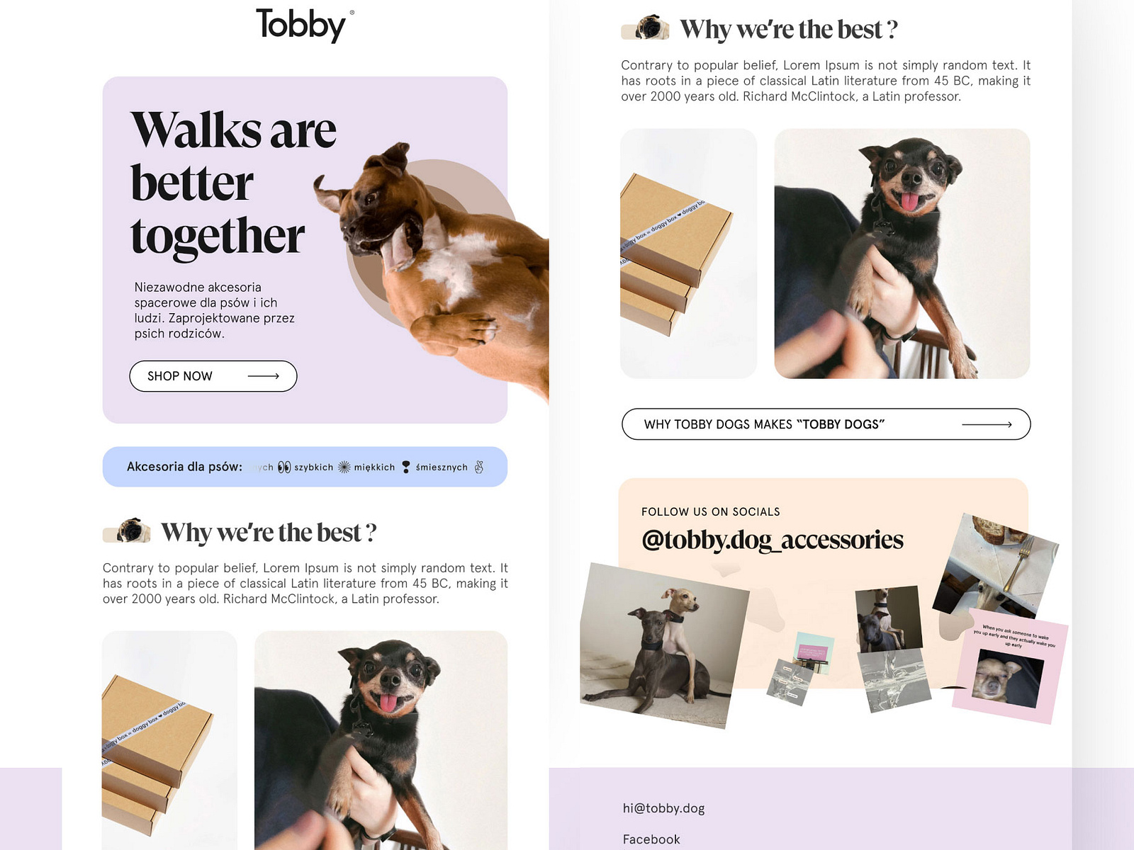 I Will Do Klaviyo Mailchimp And Newsletter Template Design By Md Ripon i-will-do-klaviyo-mailchimp-and-newsletter-template-design-by-md-ripon