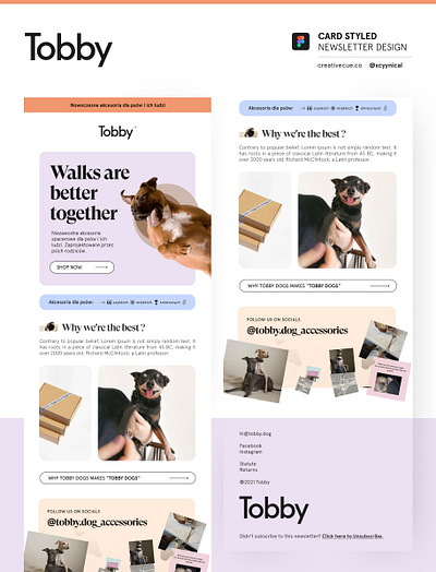 I will do klaviyo, mailchimp and newsletter template design banner design branding design email template figma design graphic design klaviyo landing page design logo mailchimp template design