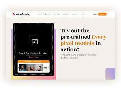 Image Scoring Software UI branding design graphic design typography ui ux