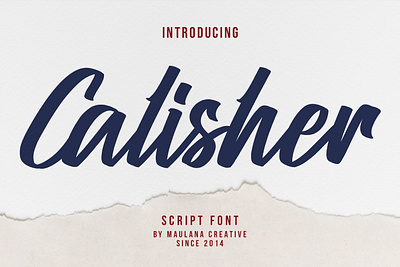 Calisher Script Font animation branding font fonts graphic design logo nostalgic