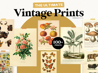 Vintage Prints Poster Bundle 100
