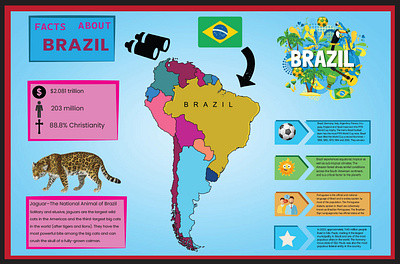 BRAZIL INFOGRAPHIC banner graphic design illustration logo motion graphics photoshop
