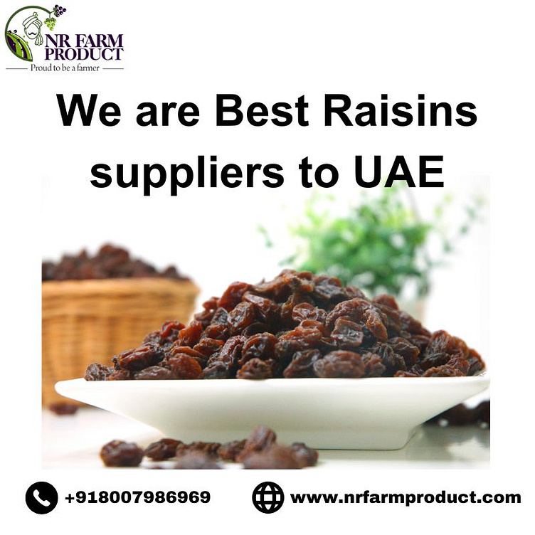 We are Best Raisins suppliers to UAE by Nrfarm Product on Dribbble